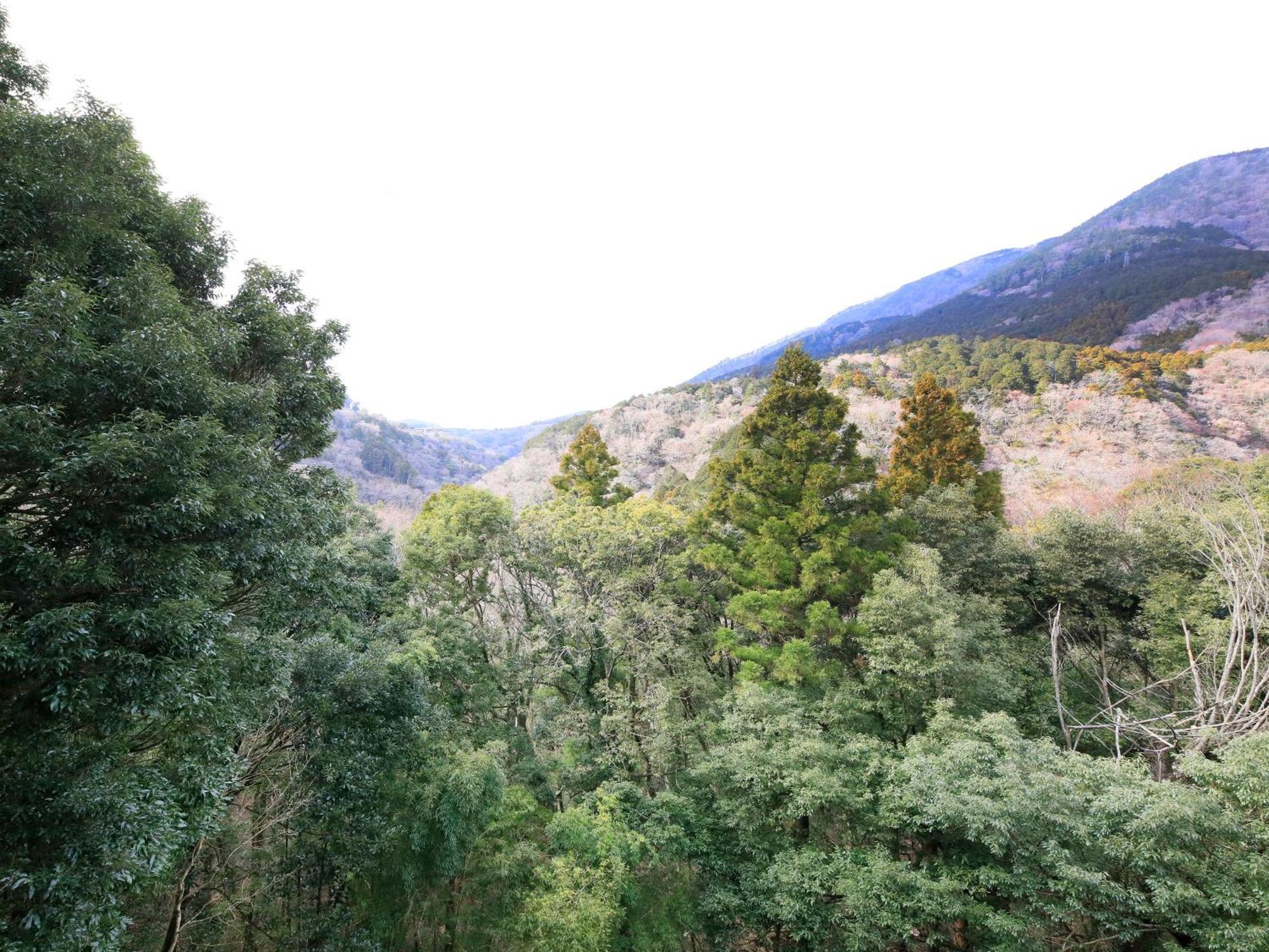 Hot Spring Inn Hakone Suisen Luaran gambar