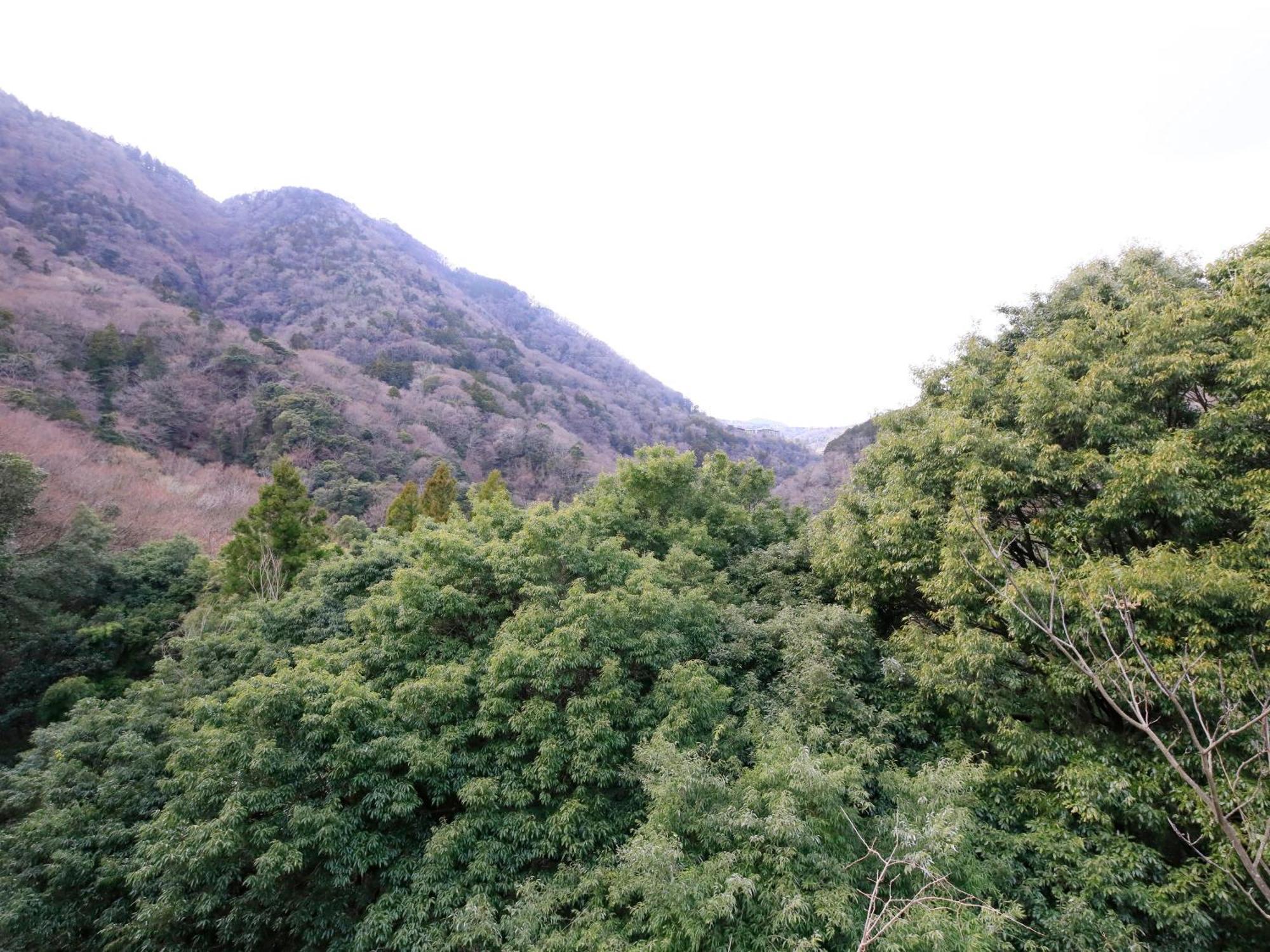 Hot Spring Inn Hakone Suisen Luaran gambar